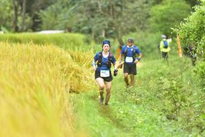 BIB: 
                            <button type="button" onclick="openModal(13434977)" class="btn btn-primary btn-sm float-right btn-popup" data-toggle="modal" data-target=".modal-high-quality">
                        <i class="fas fa-shopping-cart"></i> Add to Cart
                    </button>
                                            <button type="button" onclick="isThisMe(13434977, true)" class="btn btn-success btn-sm float-right btn-popup btn-isme hidden" data-toggle="tooltip" data-placement="bottom" title="นี่คือรูปของคุณใช่ไหม คลิกที่นี่เพื่อเอาเข้าอัลบั้ม">
                        <i class="fas fa-plus"></i> Add to album
                    </button>
                    <button type="button" onclick="isThisMe(13434977, false)" class="btn btn-warning btn-sm float-right btn-popup btn-isnotme hidden">
                        <i class="fas fa-ban"></i> Remove from album
                    </button>